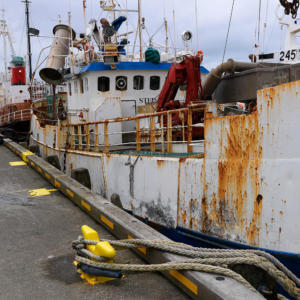 JLN-bateau-2541-islande