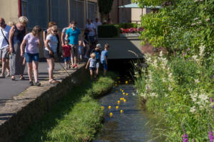 chatel-en-fete-07-2018-0812