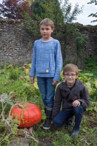 potager-chatel-10-2017-7345