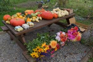 potager-chatel-10-2017-7396