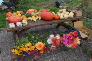 potager-chatel-10-2017-7397