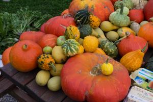 potager-chatel-10-2017-7413