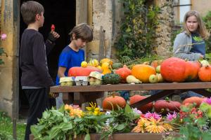 potager-chatel-10-2017-7427