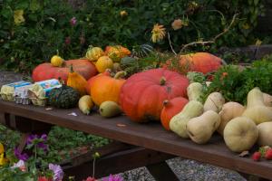 potager-chatel-10-2017-7436