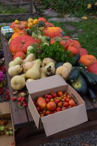 potager-chatel-10-2017-7438