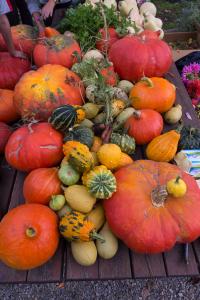 potager-chatel-10-2017-7441