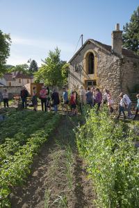 jardin-jeune-pousse-6-17-5149