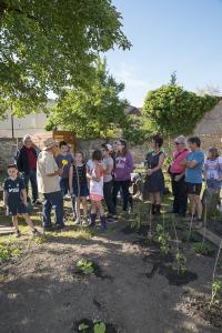 jardin-jeune-pousse-6-17-5153