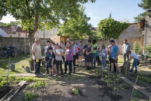 jardin-jeune-pousse-6-17-5154