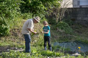 jardin-jeune-pousse-6-17-5216